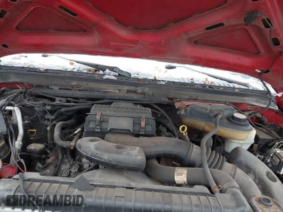 ✅ 2005 Ford F-250 XL • VIN: 1FTNF21535ED37329 • Лот: 43666360. Опубликован ранее на IAAI с пробегом Не указан. Бесплатный доступ к архиву аукционных продаж из США и подробный отчёт об истории автомобиля на DreamBid. Изображение 10.