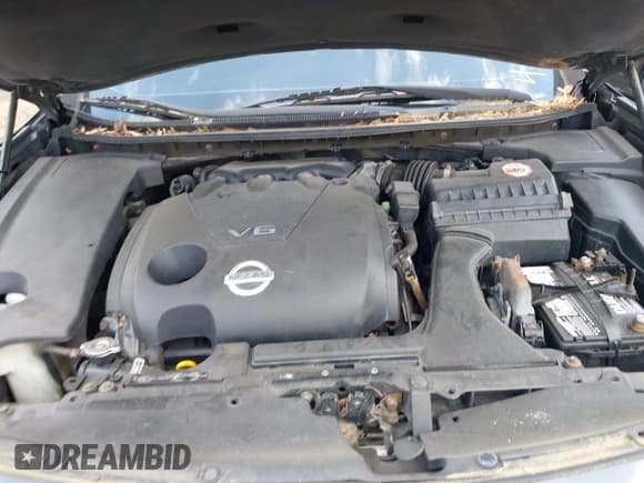 ✅ 2009 Nissan Maxima SV • VIN: 1N4AA51E29C800664 • Lot: 42164024. Listed on IAAI with Not provided. Free auction sales archive from the USA and detailed vehicle history report at DreamBid. Image 10.