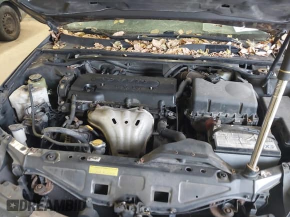 ✅ 2007 Toyota Solara SE • VIN: 4T1CE30PX7U755488 • Lot: 43837734. Listed on IAAI with 223,404 mi. Free auction sales archive from the USA and detailed vehicle history report at DreamBid. Image 10.