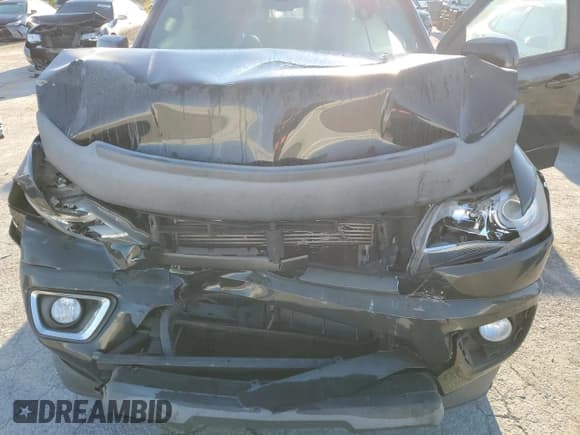 ✅ 2018 Chevrolet Colorado 2WD Z71 • VIN: 1GCGSDE12J1107287 • Lot: 77466534. Wystawiony na Copart z przebiegiem 107 849 mil. Bezpłatny archiwum sprzedaży aukcyjnych z USA i szczegółowy raport historii pojazdu na DreamBid. Zdjęcie 11.