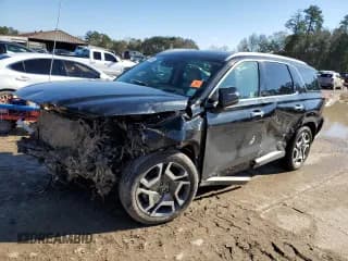 ✅ 2024 Hyundai Palisade Limited • VIN: KM8R5DGE0RU720076 • Лот: 87419404. Опубликован ранее на Copart с пробегом 12 158 миль. Бесплатный доступ к архиву аукционных продаж из США и подробный отчёт об истории автомобиля на DreamBid. Изображение 1.