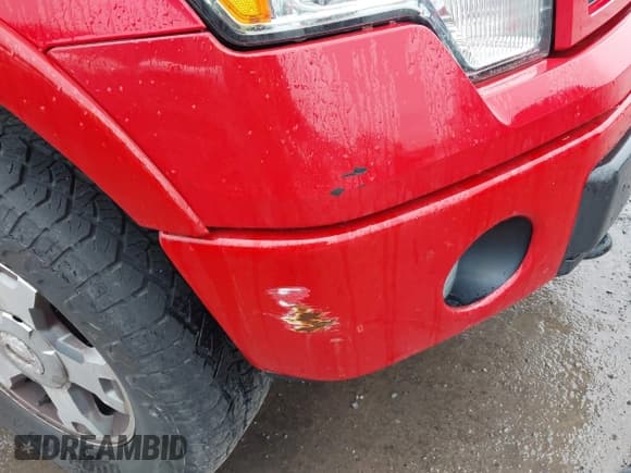 ✅ 2010 Ford F-150 XL • VIN: 1FTEX1EWXAFA69586 • Lot: 41947671. Listed on IAAI with 156,317 mi. Free auction sales archive from the USA and detailed vehicle history report at DreamBid. Image 18.