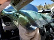 ✅ 2010 Toyota Tundra Limited • VIN: 5TFHW5F18AX101214 • Lot: 61521063. Listed on Copart with Not provided. Free auction sales archive from the USA and detailed vehicle history report at DreamBid. Image 9.