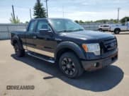 ✅ 2010 Ford F-150 XL • VIN: 1FTEX1E82AFB48073 • Lot: 62184055. Listed on Copart with 249,363 mi. Free auction sales archive from the USA and detailed vehicle history report at DreamBid. Image 4.