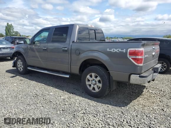 ✅ 2013 Ford F-150 XL • VIN: 1FTFW1EF6DFC13176 • Lot: 54921795. Listed on Copart with 147,280 mi. Free auction sales archive from the USA and detailed vehicle history report at DreamBid. Image 2.