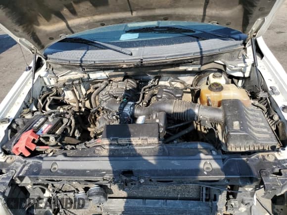 ✅ 2013 Ford F-150 XL • VIN: 1FTMF1CM6DKG34217 • Lot: 66013275. Wystawiony na Copart z przebiegiem Nie podano. Bezpłatny archiwum sprzedaży aukcyjnych z USA i szczegółowy raport historii pojazdu na DreamBid. Zdjęcie 11.