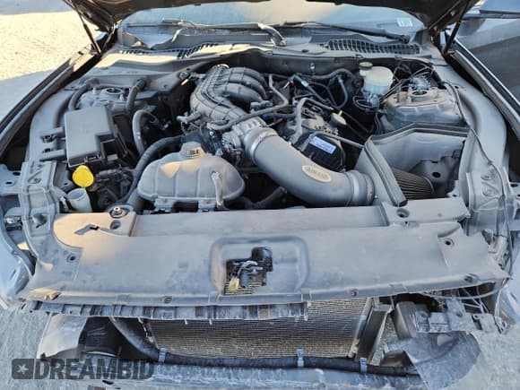 ✅ 2015 Ford Mustang V6 • VIN: 1FA6P8AM7F5322500 • Lot: 82329055. Wystawiony na Copart z przebiegiem 106 834 mil. Bezpłatny archiwum sprzedaży aukcyjnych z USA i szczegółowy raport historii pojazdu na DreamBid. Zdjęcie 11.