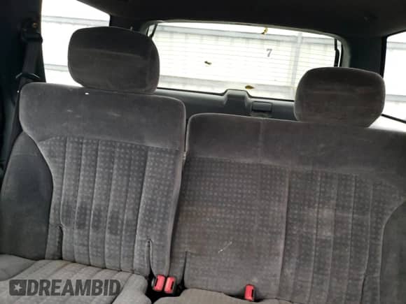 2002 Chevrolet Blazer LS z VIN 1GNDT13W32K241483, wystawiony jako Copart lot #73992044 z przebiegiem 191 544 mil mil oraz Szkoda całkowita • Salvage title. Historia ofert i sprzedaży dostępna na DreamBid. Obrazek 10.