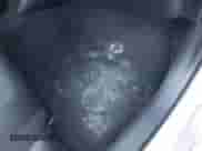 2021 Toyota Prius L Eco с VIN JTDKAMFUXM3143243, выставлен на аукционе IAAI как лот 43079577 с пробегом 87 002 миль миль и . История ставок и продаж доступна на DreamBid. Изображение 6.