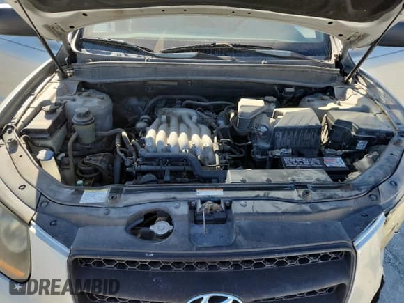 ✅ 2009 Hyundai Santa Fe GLS • VIN: 5NMSG13D99H251377 • Lot: 82684445. Listed on Copart with 161,512 mi. Free auction sales archive from the USA and detailed vehicle history report at DreamBid. Image 12.