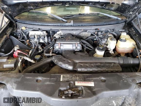 ✅ 2005 Ford F-150 XLT • VIN: 1FTPX14525NC09028 • Lot: 62164665. Listed on Copart with Not provided. Free auction sales archive from the USA and detailed vehicle history report at DreamBid. Image 11.