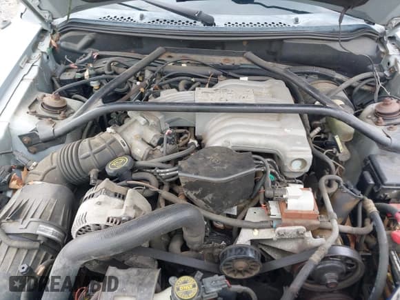 ✅ 1995 Ford Mustang • VIN: 1FALP45T2SF175746 • Lot: 42887796. Wystawiony na IAAI z przebiegiem 26 940 mil. Bezpłatny archiwum sprzedaży aukcyjnych z USA i szczegółowy raport historii pojazdu na DreamBid. Zdjęcie 10.