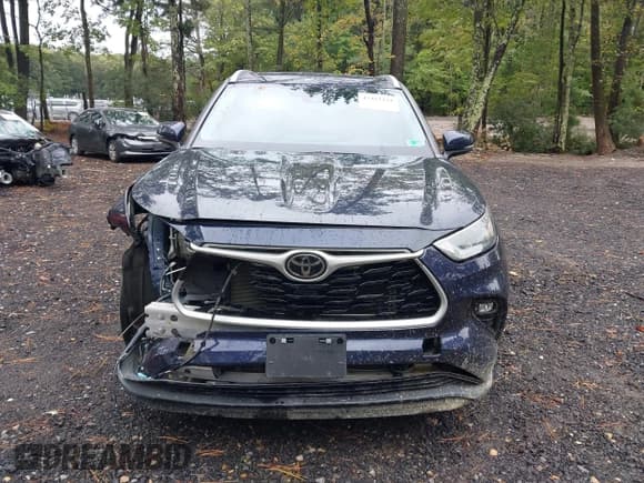 ✅ 2023 Toyota Highlander LE • VIN: 5TDKDRAH5PS020483 • Lot: 43413222. Listed on IAAI with 68,319 mi. Free auction sales archive from the USA and detailed vehicle history report at DreamBid. Image 11.