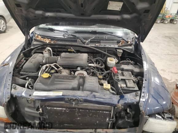 2003 Dodge Dakota Sport z VIN 1D7HG32N43S328884, wystawiony jako Copart lot #85985644 z przebiegiem 141 779 mil mil oraz Nie do naprawy • Non repairable. Historia ofert i sprzedaży dostępna na DreamBid. Obrazek 11.