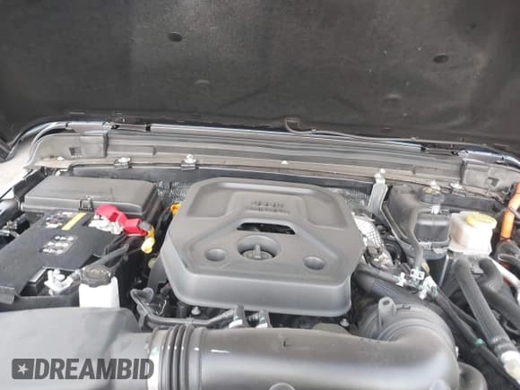 ✅ 2024 Jeep Wrangler Willys • VIN: 1C4RJXN60RW146337 • Лот: 40951543. Опубликован ранее на IAAI с пробегом 5 245 миль. Бесплатный доступ к архиву аукционных продаж из США и подробный отчёт об истории автомобиля на DreamBid. Изображение 10.