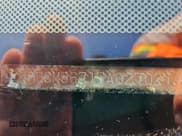 ✅ 2005 Honda Accord EX • VIN: 1HGCM56715A027021 • Lot: 85669795. Wystawiony na Copart z przebiegiem 190 364 mil. Bezpłatny archiwum sprzedaży aukcyjnych z USA i szczegółowy raport historii pojazdu na DreamBid. Zdjęcie 12.