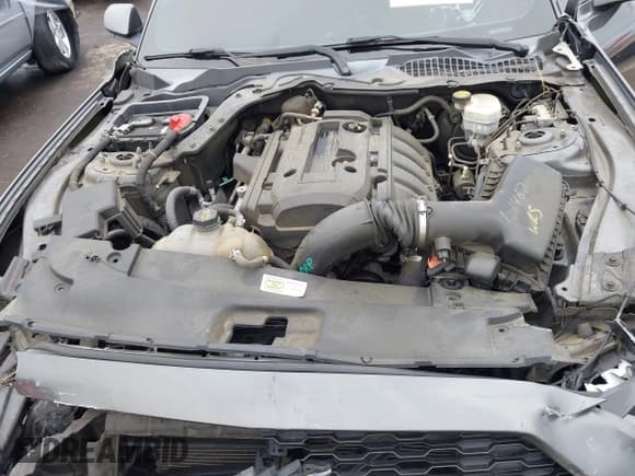 ✅ 2016 Ford Mustang EcoBoost • VIN: 1FA6P8TH0G5251707 • Lot: 43239421. Listed on IAAI with 101,533 mi. Free auction sales archive from the USA and detailed vehicle history report at DreamBid. Image 10.