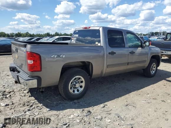 2009 Chevrolet Silverado 1500 LS with VIN 3GCEK13C19G156200, listed as a Copart auction lot 70571045 with 217,642 mi miles and Clean title. Bid and sale history available at DreamBid. Image 3.