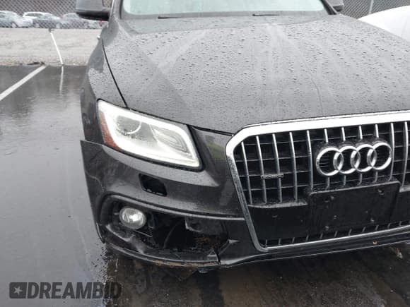 ✅ 2015 Audi Q5 Premium Plus • VIN: WA1DGAFP1FA122984 • Lot: 43733544. Listed on IAAI with 116,293 mi. Free auction sales archive from the USA and detailed vehicle history report at DreamBid. Image 18.