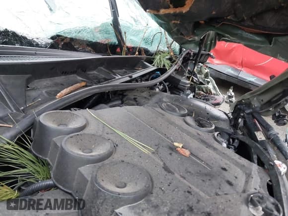 ✅ 2022 Toyota 4Runner TRD Off Road Premium • VIN: JTERU5JR9N6048845 • Lot: 41543315. Listed on IAAI with Not provided. Free auction sales archive from the USA and detailed vehicle history report at DreamBid. Image 10.