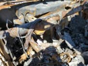 ✅ 2019 Chevrolet Silverado 1500 LT Trail Boss • VIN: 3GCPYFED6KG264537 • Lot: 71259884. Wystawiony na Copart z przebiegiem Nie podano. Bezpłatny archiwum sprzedaży aukcyjnych z USA i szczegółowy raport historii pojazdu na DreamBid. Zdjęcie 9.