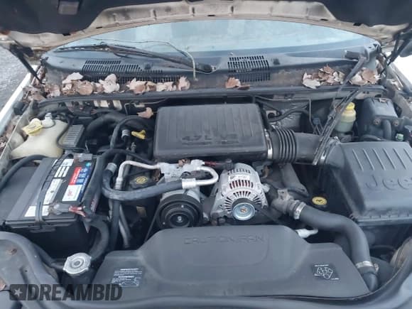 ✅ 2001 Jeep Grand Cherokee Limited • VIN: 1J4GW58N81C520063 • Lot: 43898249. Listed on IAAI with 206,735 mi. Free auction sales archive from the USA and detailed vehicle history report at DreamBid. Image 10.