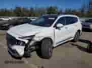 2023 Hyundai Santa Fe Calligraphy with VIN 5NMS5DAL6PH520255, listed as a Copart auction lot 82090035 with 44,423 mi miles and Salvage title. Bid and sale history available at DreamBid. Image 1.