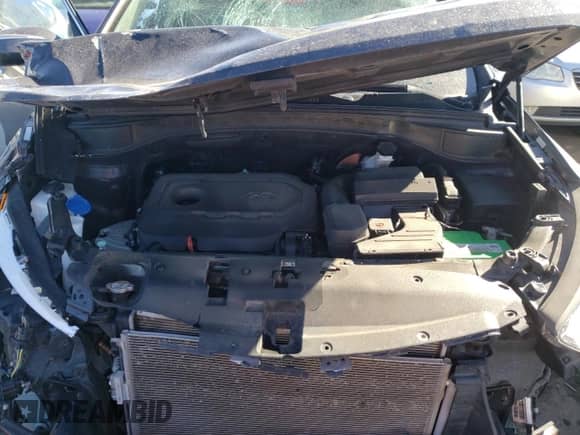 ✅ 2017 Hyundai Santa Fe 2.4L • VIN: 5XYZU3LB3HG495603 • Lot: 72451942. Wystawiony na Copart z przebiegiem 68 949 mil. Bezpłatny archiwum sprzedaży aukcyjnych z USA i szczegółowy raport historii pojazdu na DreamBid. Zdjęcie 11.