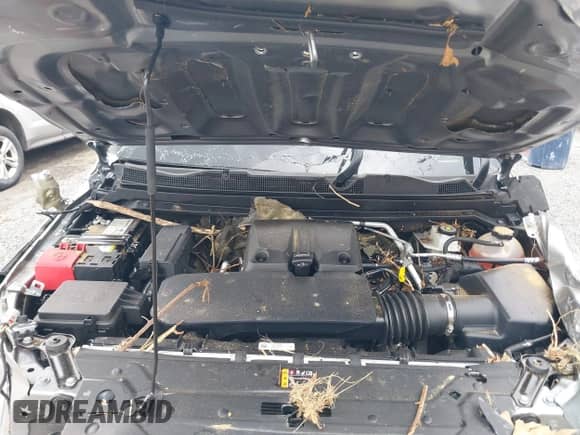 2023 Chevrolet Colorado 4WD ZR2 с VIN 1GCPTFEK1P1228211, выставлен на аукционе IAAI как лот 41673398 с пробегом Не указан миль и . История ставок и продаж доступна на DreamBid. Изображение 10.