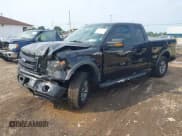 ✅ 2013 Ford F-150 XL • VIN: 1FTFX1EF5DFB74027 • Lot: 42472119. Listed on IAAI with 113,681 mi. Free auction sales archive from the USA and detailed vehicle history report at DreamBid. Image 17.