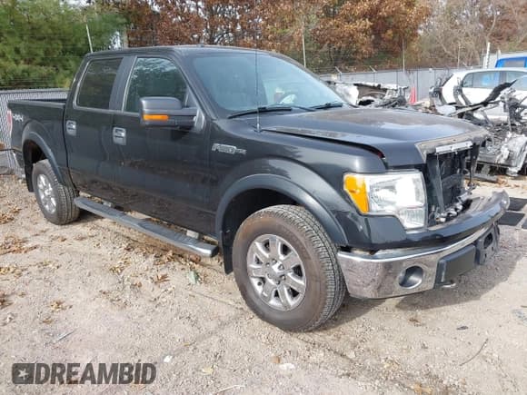 ✅ 2013 Ford F-150 XL • VIN: 1FTFW1EF8DKE51201 • Lot: 43614787. Wystawiony na IAAI z przebiegiem 158 346 mil. Bezpłatny archiwum sprzedaży aukcyjnych z USA i szczegółowy raport historii pojazdu na DreamBid. Zdjęcie 1.