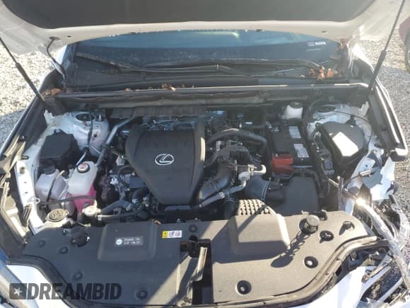 ✅ 2024 Lexus NX 350 Luxury • VIN: 2T2HGCEZ4RC057422 • Lot: 84476615. Wystawiony na Copart z przebiegiem 11 440 mil. Bezpłatny archiwum sprzedaży aukcyjnych z USA i szczegółowy raport historii pojazdu na DreamBid. Zdjęcie 12.