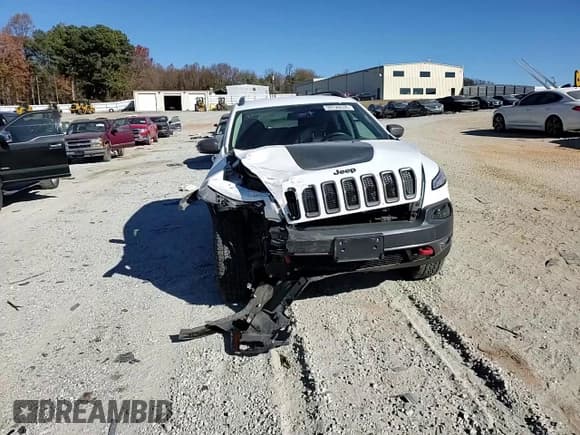 ✅ 2016 Jeep Cherokee Trailhawk • VIN: 1C4PJMBS8GW227719 • Lot: 93120535. Listed on Copart with 43,989 mi. Free auction sales archive from the USA and detailed vehicle history report at DreamBid. Image 14.