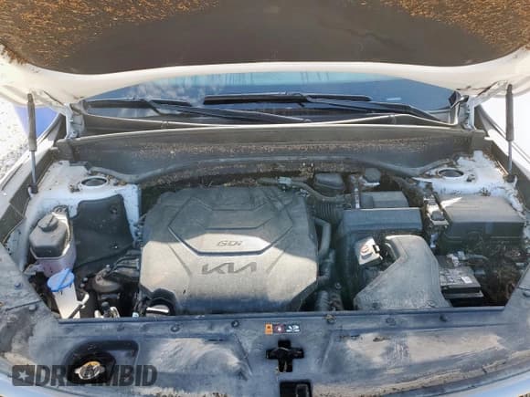 ✅ 2023 Kia Telluride SX X-Line • VIN: 5XYP5DGC5PG380772 • Lot: 64143015. Listed on Copart with Not provided. Free auction sales archive from the USA and detailed vehicle history report at DreamBid. Image 12.