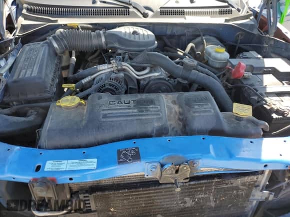 ✅ 2003 Dodge Dakota Sport • VIN: 1D7HL38X23S126579 • Lot: 50951074. Listed on Copart with 237,328 mi miles. Access the free auction sales archive from the USA and view a detailed vehicle history report at DreamBid. Image 11.