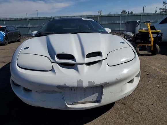 ✅ 1999 Pontiac Firebird Firebird • VIN: 2G2FS22K9X2220880 • Lot: 46225985. Listed on Copart with 167,696 mi. Free auction sales archive from the USA and detailed vehicle history report at DreamBid. Image 5.