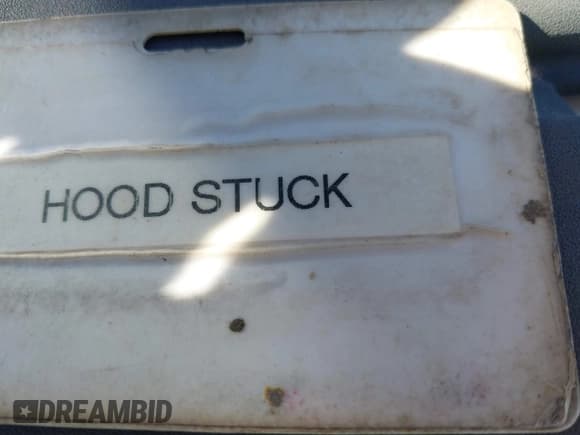 ✅ 2024 Ram ProMaster • VIN: 3C6MRVWG0RE154356 • Лот: 41840476. Опубликован ранее на IAAI с пробегом Не указан. Бесплатный доступ к архиву аукционных продаж из США и подробный отчёт об истории автомобиля на DreamBid. Изображение 10.