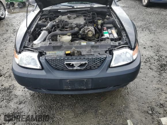 ✅ 2004 Ford Mustang Standard • VIN: 1FAFP40644F232840 • Lot: 91038825. Listed on Copart with Not provided. Free auction sales archive from the USA and detailed vehicle history report at DreamBid. Image 11.