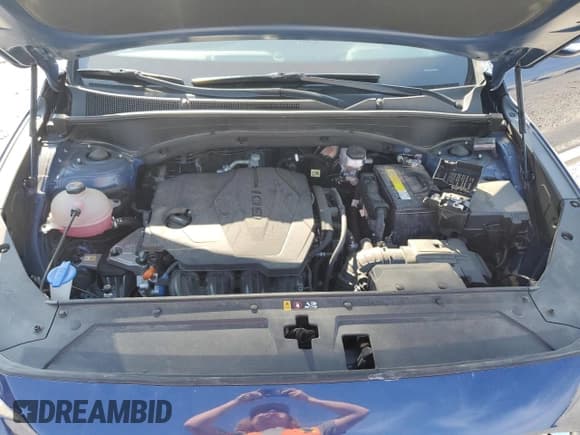 ✅ 2021 Hyundai Santa Fe SEL • VIN: 5NMS34AJ2MH336107 • Lot: 68658943. Listed on Copart with 60,159 mi. Free auction sales archive from the USA and detailed vehicle history report at DreamBid. Image 11.