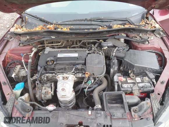 ✅ 2014 Honda Accord EX-L • VIN: 1HGCR2F84EA227125 • Лот: 43750753. Опубликован ранее на IAAI с пробегом 134 480 миль. Бесплатный доступ к архиву аукционных продаж из США и подробный отчёт об истории автомобиля на DreamBid. Изображение 10.