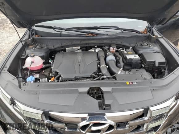 2023 Hyundai Santa Cruz Night Edition с VIN 5NTJCDAF1PH063905, выставлен на аукционе Copart как лот 81644144 с пробегом 20 707 миль миль и Списание • Salvage title. История ставок и продаж доступна на DreamBid. Изображение 11.