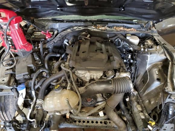 ✅ 2020 Ford Mustang EcoBoost Premium • VIN: 1FATP8UH8L5113201 • Lot: 87094475. Listed on Copart with 83,080 mi. Free auction sales archive from the USA and detailed vehicle history report at DreamBid. Image 11.