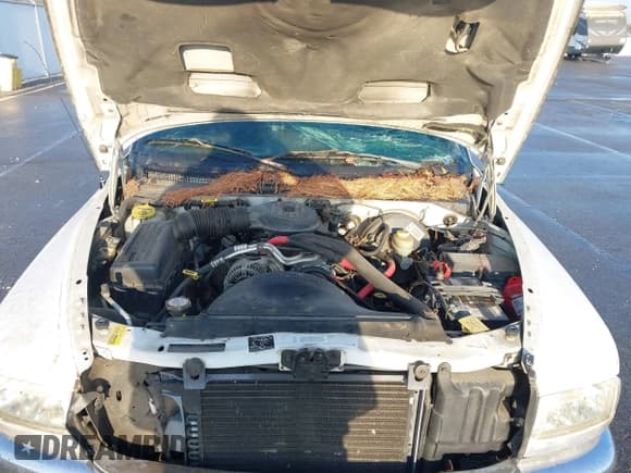 ✅ 1998 Dodge Dakota SLT • VIN: 1B7GG22X2WS519726 • Lot: 42003437. Wystawiony na IAAI z przebiegiem 213 998 mil. Bezpłatny archiwum sprzedaży aukcyjnych z USA i szczegółowy raport historii pojazdu na DreamBid. Zdjęcie 10.