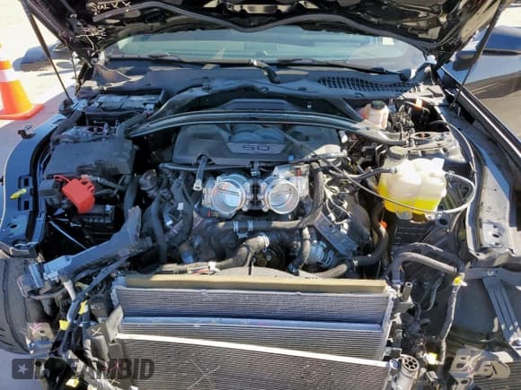 ✅ 2024 Ford Mustang Dark Horse • VIN: 1FA6P8R06R5504050 • Lot: 90358855. Wystawiony na Copart z przebiegiem 5 540 mil. Bezpłatny archiwum sprzedaży aukcyjnych z USA i szczegółowy raport historii pojazdu na DreamBid. Zdjęcie 11.