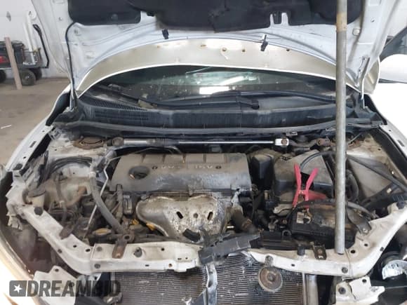 ✅ 2009 Toyota Matrix XRS • VIN: 2T1GE40E89C004917 • Лот: 43510342. Опубликован ранее на IAAI с пробегом 249 946 миль. Бесплатный доступ к архиву аукционных продаж из США и подробный отчёт об истории автомобиля на DreamBid. Изображение 10.