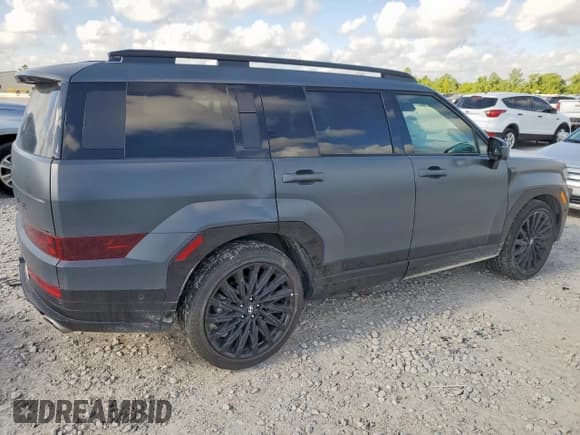 ✅ 2024 Hyundai Santa Fe Calligraphy • VIN: 5NMP5DGL2RH061306 • Lot: 65531065. Listed on Copart with 11,625 mi. Free auction sales archive from the USA and detailed vehicle history report at DreamBid. Image 3.