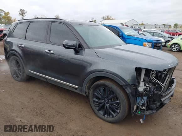 ✅ 2022 Kia Telluride SX • VIN: 5XYP54HC9NG210457 • Lot: 43560143. Wystawiony na IAAI z przebiegiem 106 567 mil. Bezpłatny archiwum sprzedaży aukcyjnych z USA i szczegółowy raport historii pojazdu na DreamBid. Zdjęcie 1.
