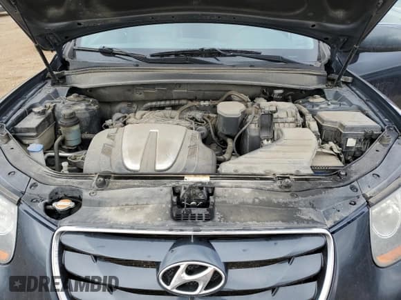 ✅ 2010 Hyundai Santa Fe SE • VIN: 5NMSHDAG2AH401992 • Lot: 77666204. Listed on Copart with 219,622 mi. Free auction sales archive from the USA and detailed vehicle history report at DreamBid. Image 12.