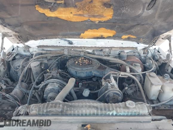 ✅ 1992 Ford F-250 • VIN: 2FTHF25M8NCA07478 • Lot: 42918252. Wystawiony na IAAI z przebiegiem Nie podano. Bezpłatny archiwum sprzedaży aukcyjnych z USA i szczegółowy raport historii pojazdu na DreamBid. Zdjęcie 10.