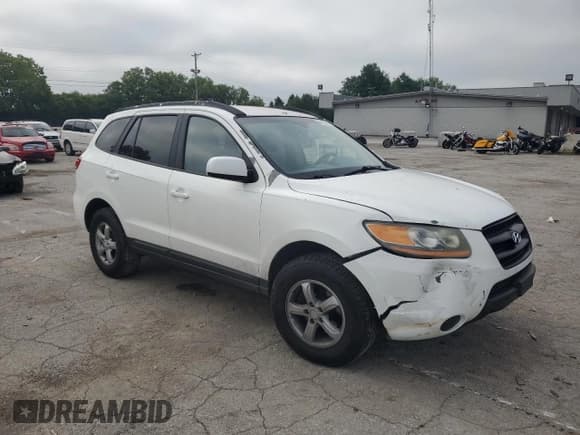 ✅ 2008 Hyundai Santa Fe GLS • VIN: 5NMSG13D68H174966 • Lot: 66612044. Listed on Copart with 167,655 mi. Free auction sales archive from the USA and detailed vehicle history report at DreamBid. Image 4.